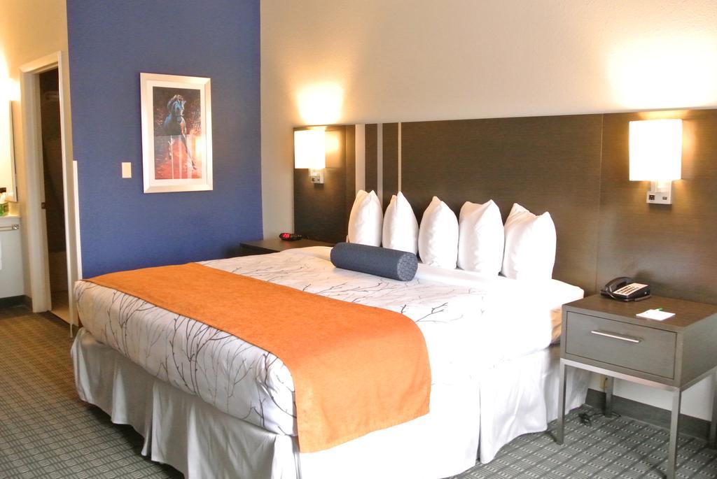 Hotel &