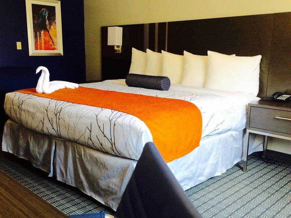 & Hotel