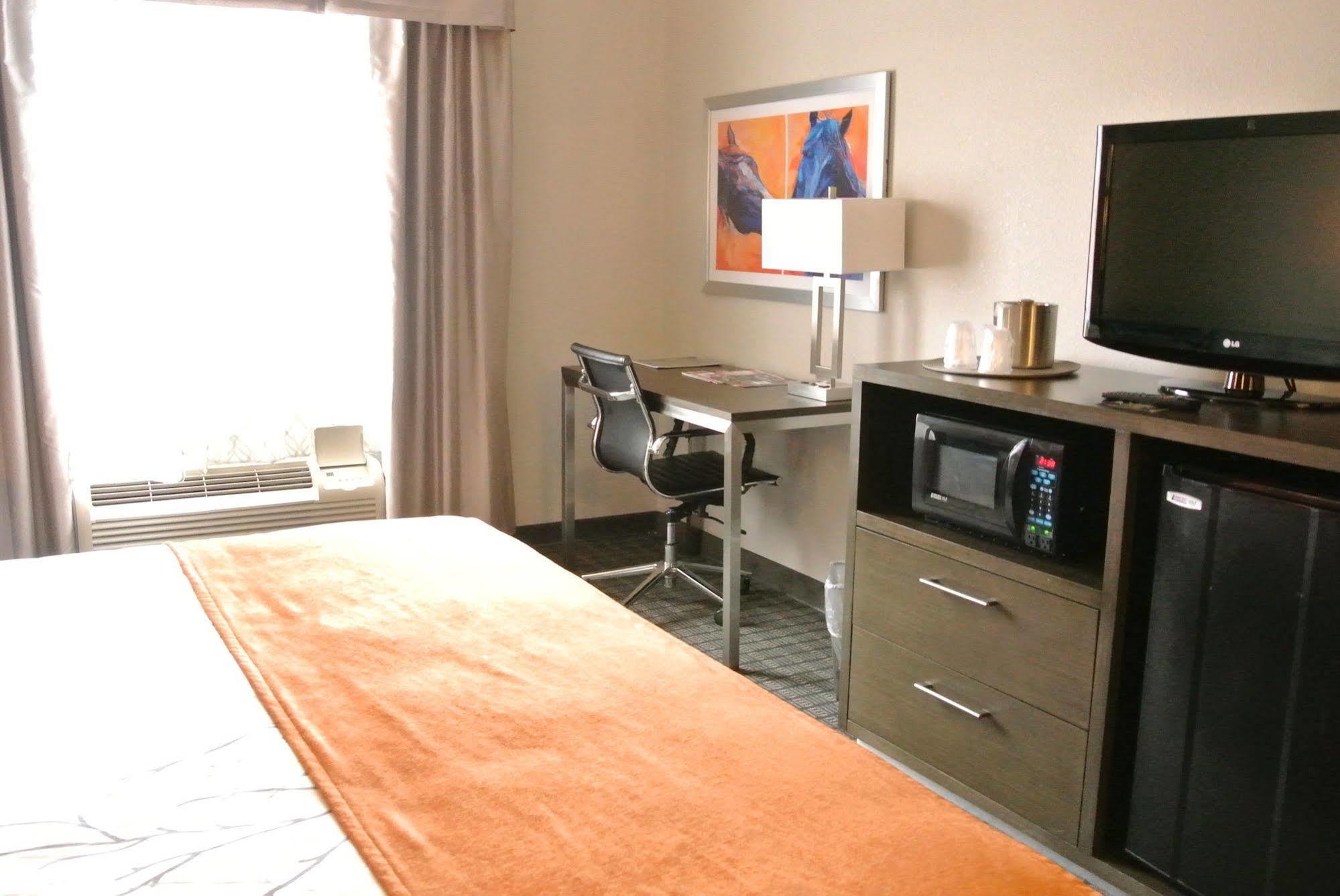 Hotel &