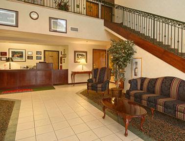 & 3* Lexington